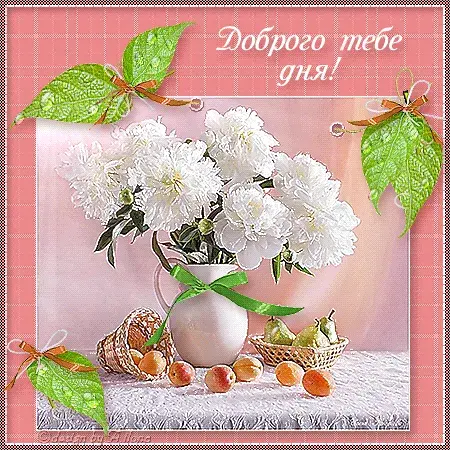 Открытка Открытки добрый вечер - Открытка с пионами и фруктами | Красивая открытка #83