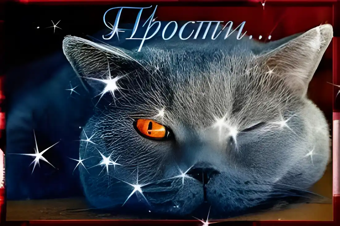 Открытка Прости - Синий кот с большими глазами - открытка | Красивая открытка #54