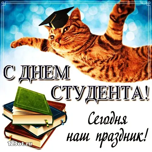 Открытка День студента - С Днем Студента: Открытка с Котиком в Шапке | Красивая открытка #74