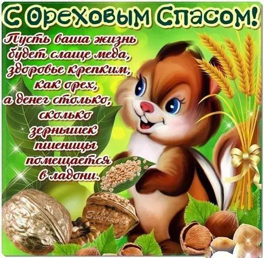 Открытка С белочками - Открытка с белкой и орехами  С Днём рождения! | Красивая открытка #37