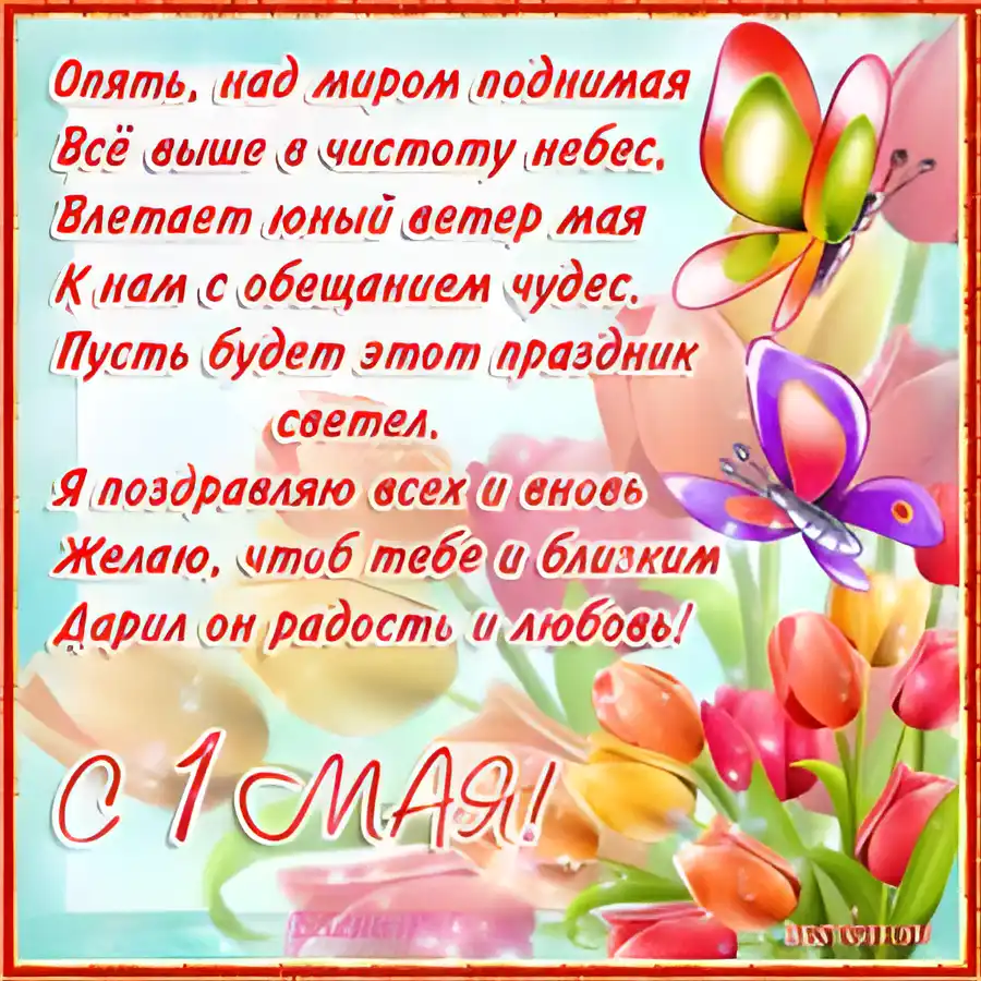 Открытка 1 мая - Открытка с цветами и бабочками | Красивая открытка #128