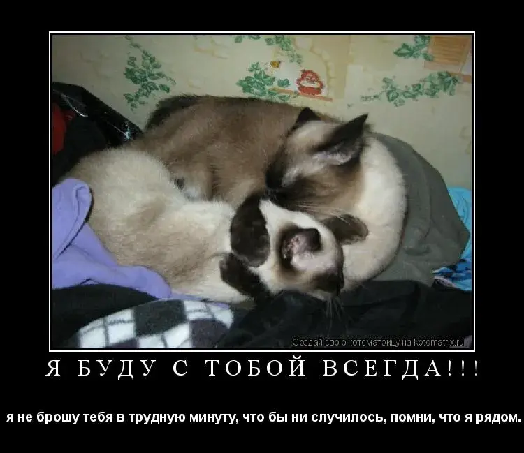 Открытка Открытки я рядом - Симпатичный котенок в костюме  Открытка с котенком | Красивая открытка #70