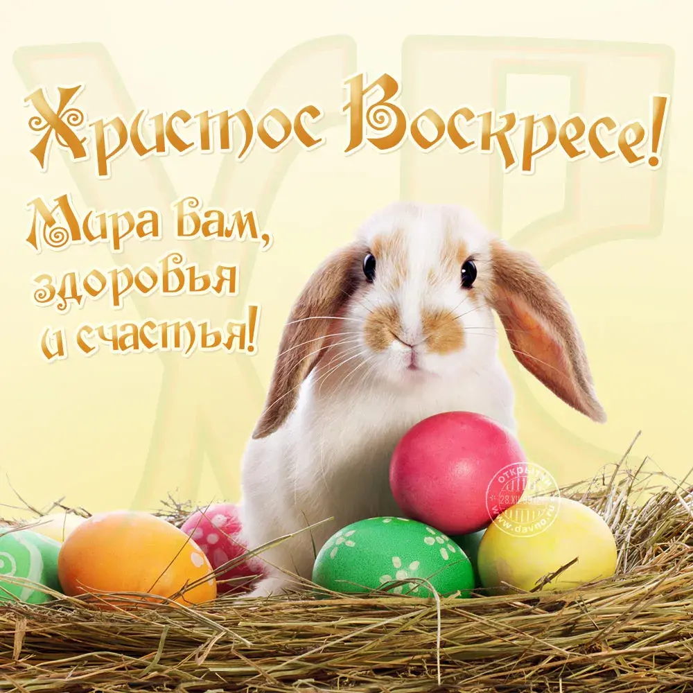Открытка Христос Воскрес - Пасхальный кролик с пасхальными яйцами - открытка | Красивая открытка #8