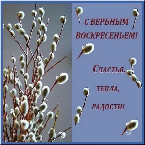 Открытка Вербное Воскресенье - Открытка с ветками цветущей вербы | Красивая открытка #291