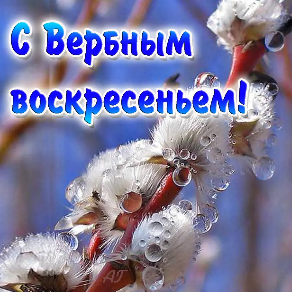 Открытка Вербное Воскресенье - Зимняя открытка: снегирь на ветке, снежинки | Красивая открытка #292