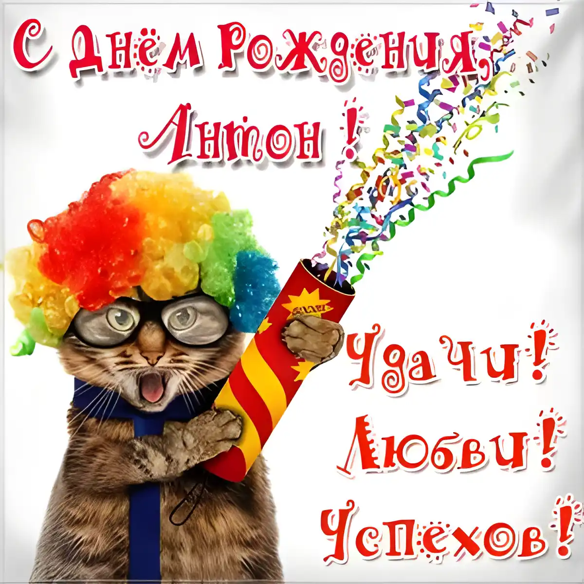 Открытка открытки с именем Антон  - Кот в колпаке с хлопушкой: смешная открытка | Красивая открытка #232