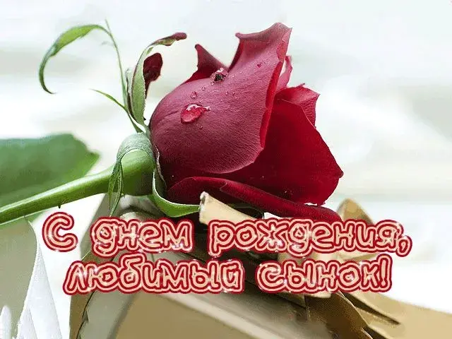 Открытка С днем рождения для сына - Открытка с красной розой | Красивая открытка #30