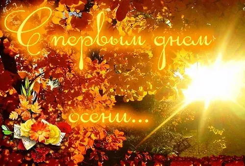 Открытка С первым днём осени - Осенние открытки — яркие цветы и теплые листья | Красивая открытка #43