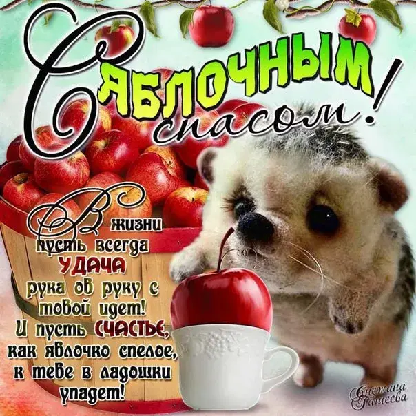 Открытка Яблочный спас - Открытка "С Днем Рождения": Красное яблоко и поздравления | Красивая открытка #45