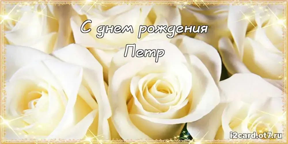 Открытка Открытки с именем Петр - Открытка с белыми розами — поздравительная с днем рождения | Красивая открытка #250