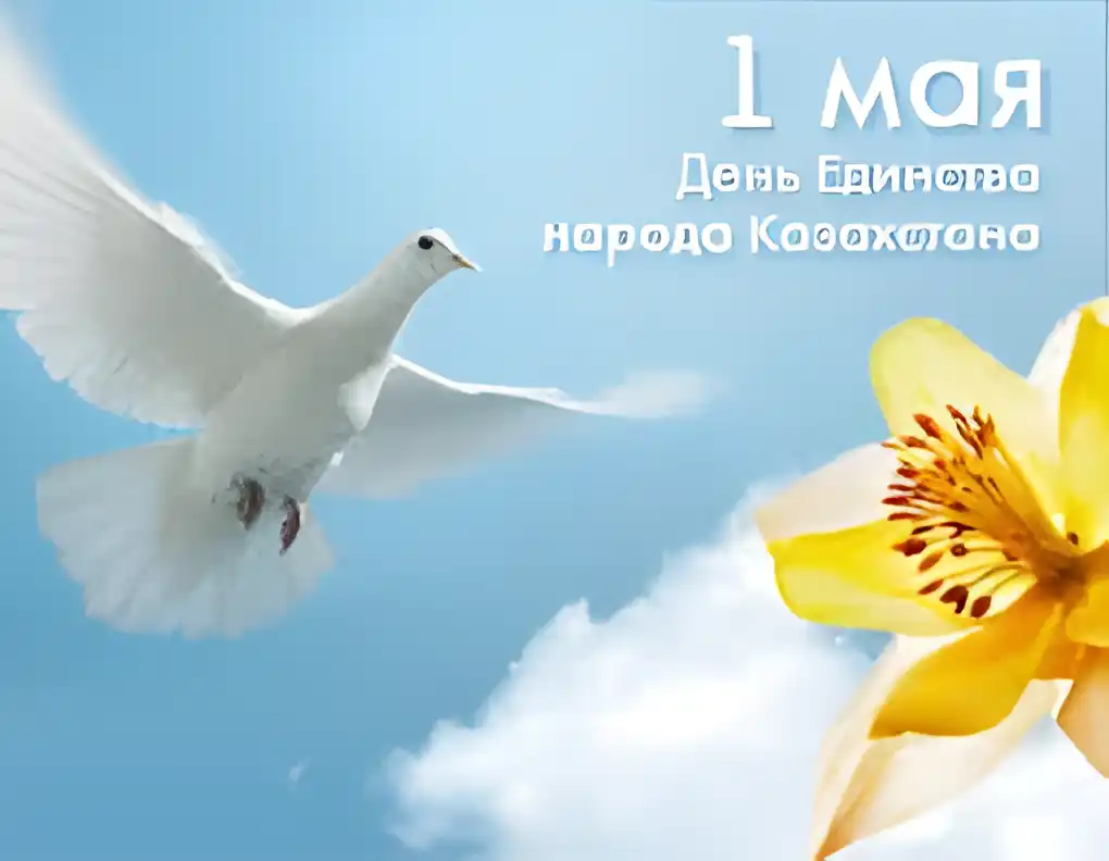 Открытка 1 Мамыр. 1 Мая. День Единства народов Казахстана - Голубь летит на фоне неба и цветка. | Красивая открытка #24