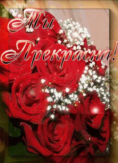 Открытка Ты прекрасна - Открытка с красными розами и белыми цветами | Красивая открытка #5