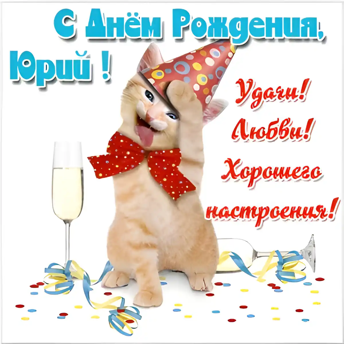 Открытка Открытки с именем Юрий - Открытка с котенком на дне рождения | Красивая открытка #267