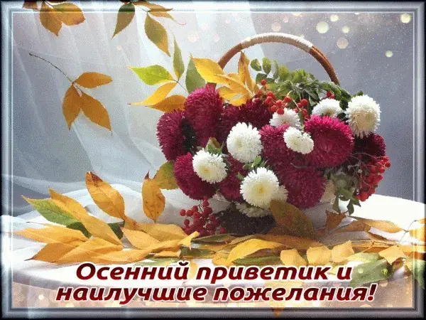 Открытка Осенний приветик - Осенняя открытка: цветы в корзине, желтые листья | Красивая открытка #11
