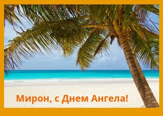 Открытка Открытки с именем Мирон  - Открытка с пальмой и бирюзовым морем | Красивая открытка #196