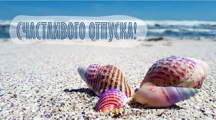Открытка Отпуск - Ракушки на песке: открытка с морем | Красивая открытка #11