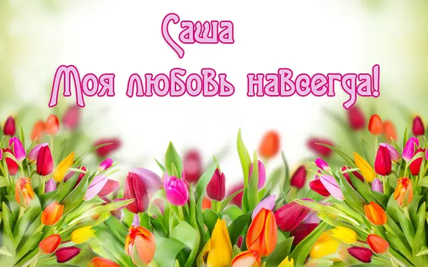 Открытка Открытки с именем Александра - Яркая открытка с тюльпанами | Красивая открытка #65