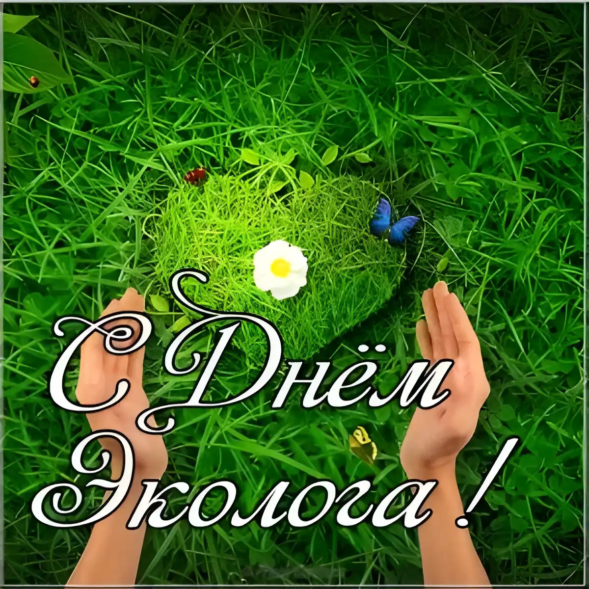 Открытка День эколога - Открытка с Днем рождения: цветы, руки, природа | Красивая открытка #25