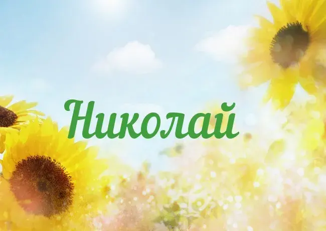 Открытка Открытки с именем Николай   - Подсолнухи на фоне голубого неба. Открытка. | Красивая открытка #195