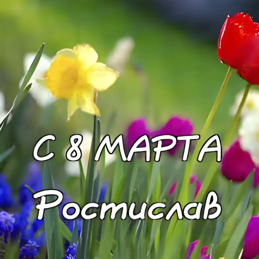 Открытка Открытки с именем Ростислав  - Открытка с тюльпанами и нарциссами  С 8 марта | Красивая открытка #161