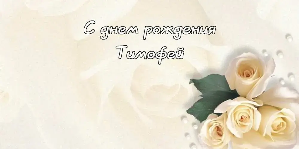 Открытка Открытки с именем Тимофей - Открытка с цветами: нежные розы и надпись "С днем рождения" | Красивая открытка #73