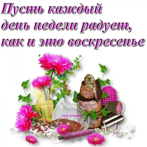 Открытка Открытки на воскресенье - Открытка: Цветы, шляпа, букет, бантик | Красивая открытка #141