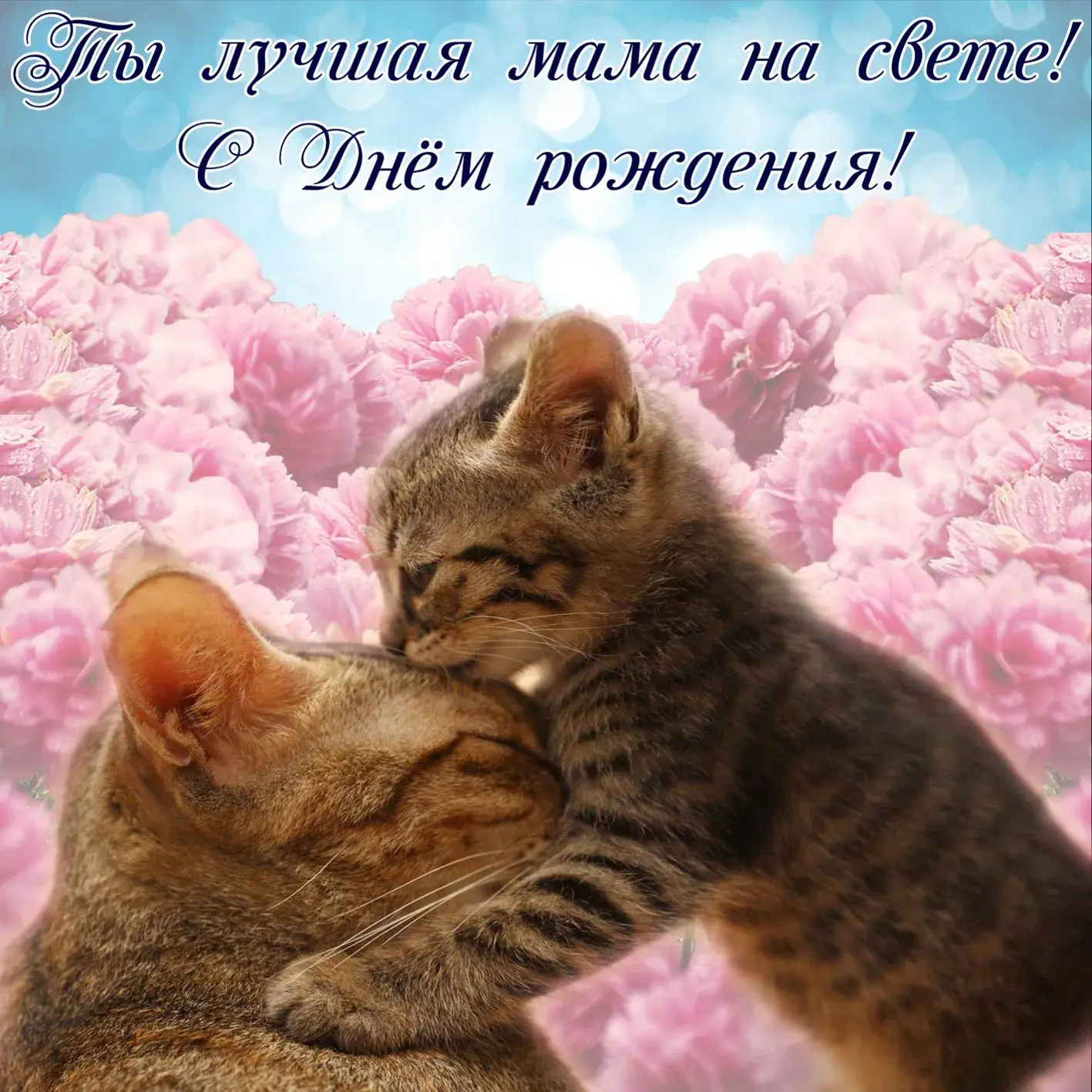 Открытка с днём рождения мама - Два котенка обнимаются на фоне цветов - открытка | Красивая открытка #39
