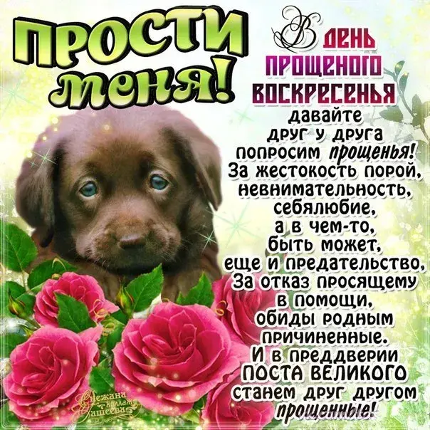 Открытка Прощённое воскресенье - Открытка с цветами и надписью "Прости" | Красивая открытка #61