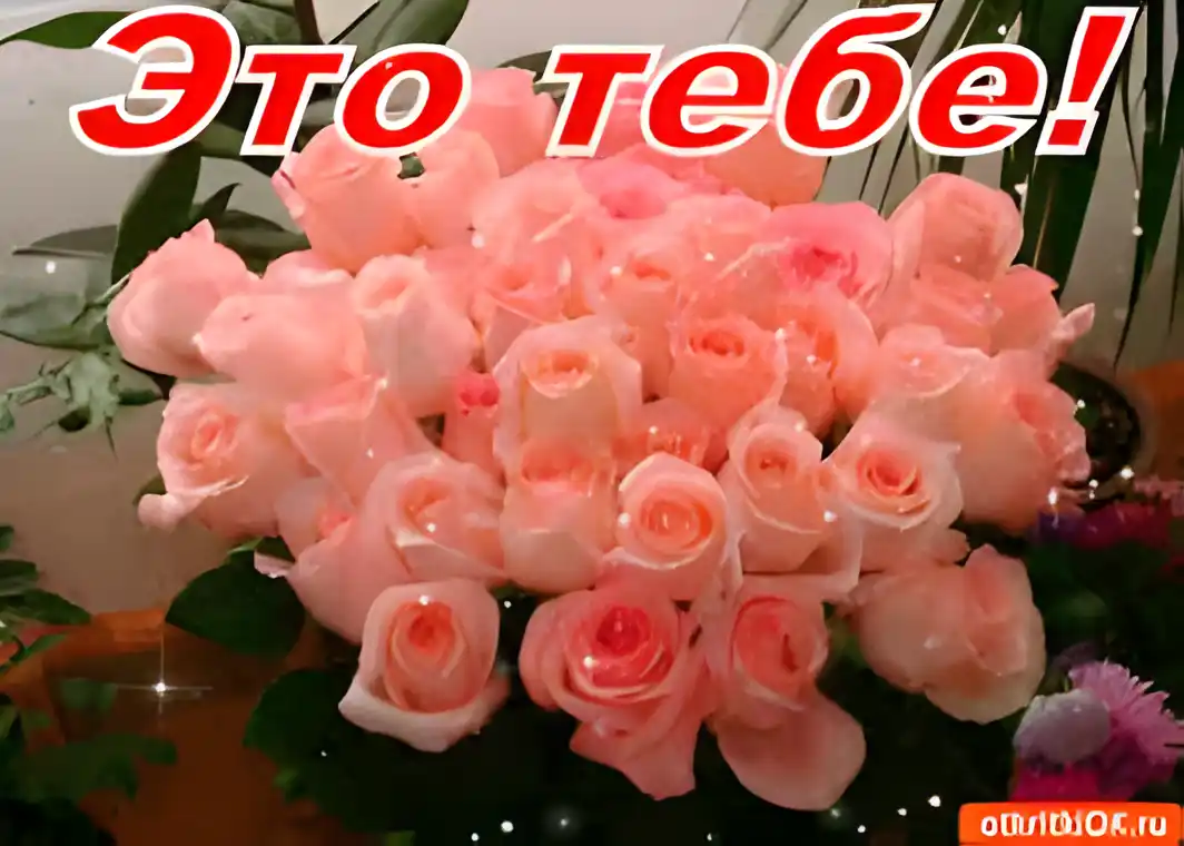 Открытка Открытки для тебя - Букет розовых роз: открытка с цветами | Красивая открытка #160