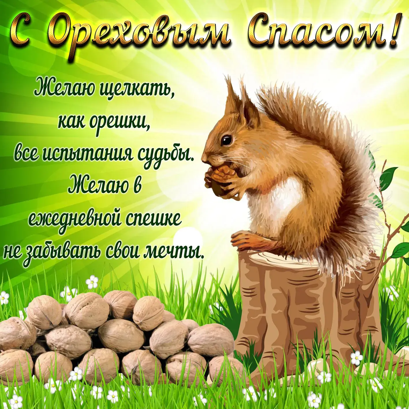 Открытка Ореховый спас - Белка с орехами: открытка с природой | Красивая открытка #2