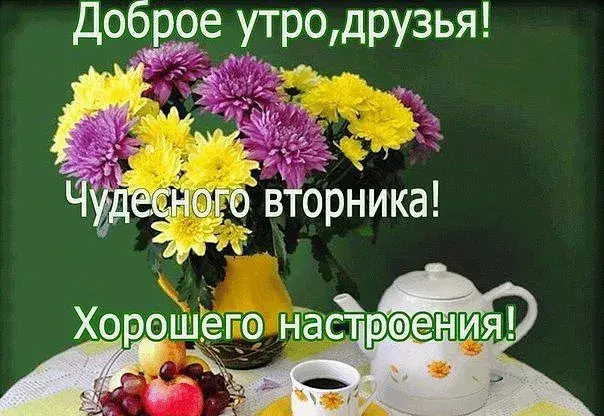Открытка Открытки на вторник - Открытка с цветами и завтраком | Красивая открытка #164