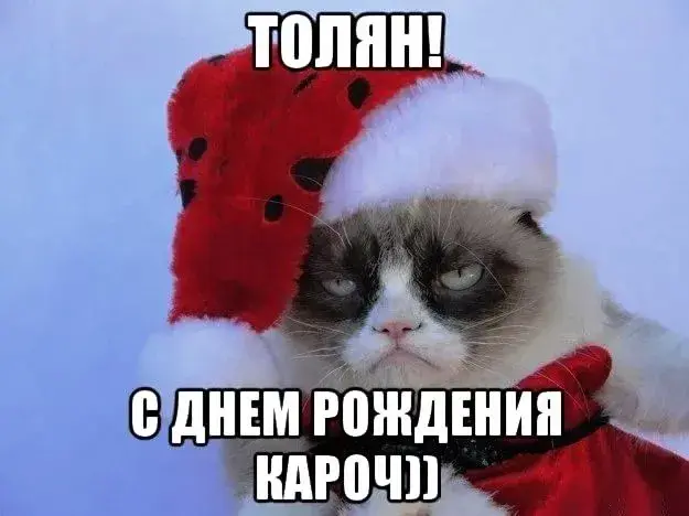 Открытка открытки с именем Анатолий - Открытка с котом в колпаке | Красивая открытка #110