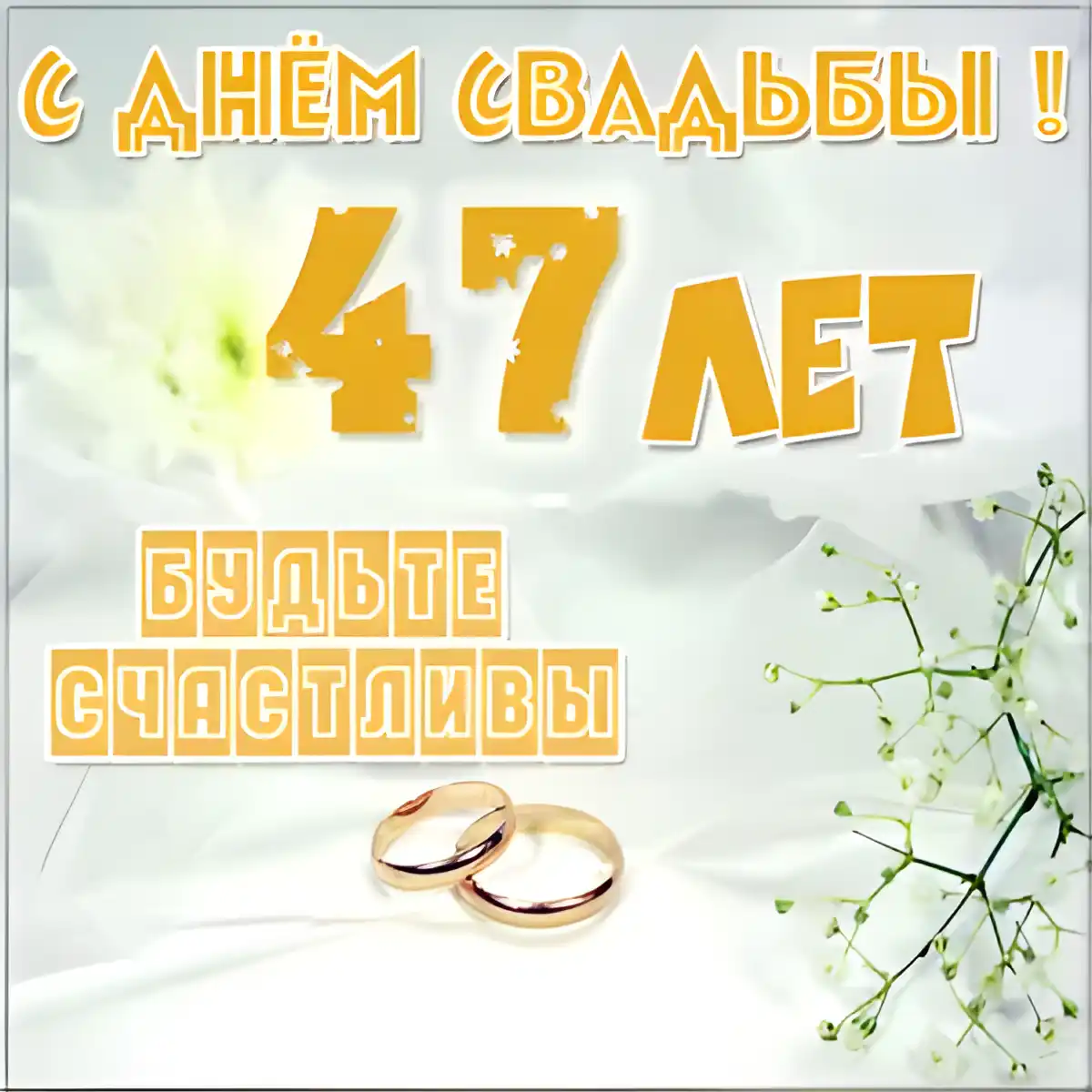 Открытка Открытки на Кашемировую/Шерстяную свадьбу 47 лет - Свадебные кольца на фоне белых цветов | Красивая открытка #8