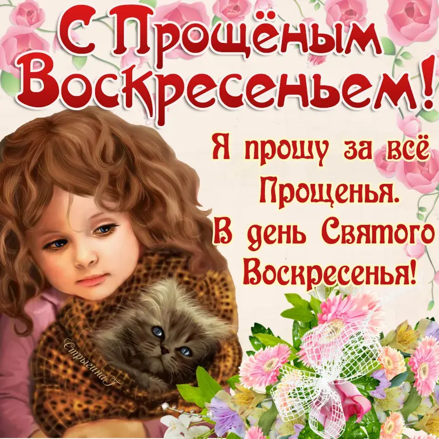 Открытка Прощённое воскресенье - С Днем! Цветок и котенок. | Красивая открытка #2