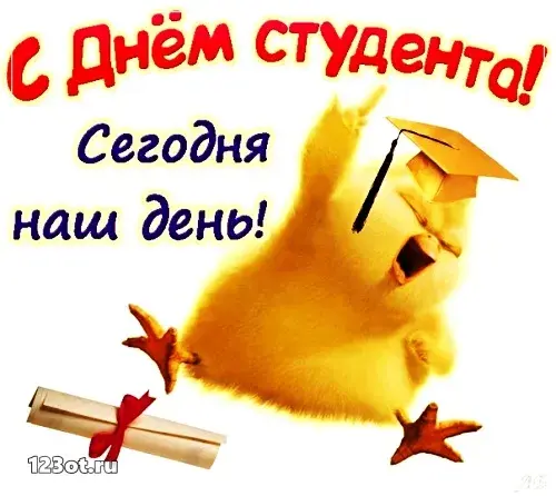 Открытка открытки на день студента  - Птенец в шапочке с дипломом и звездами | Красивая открытка #38