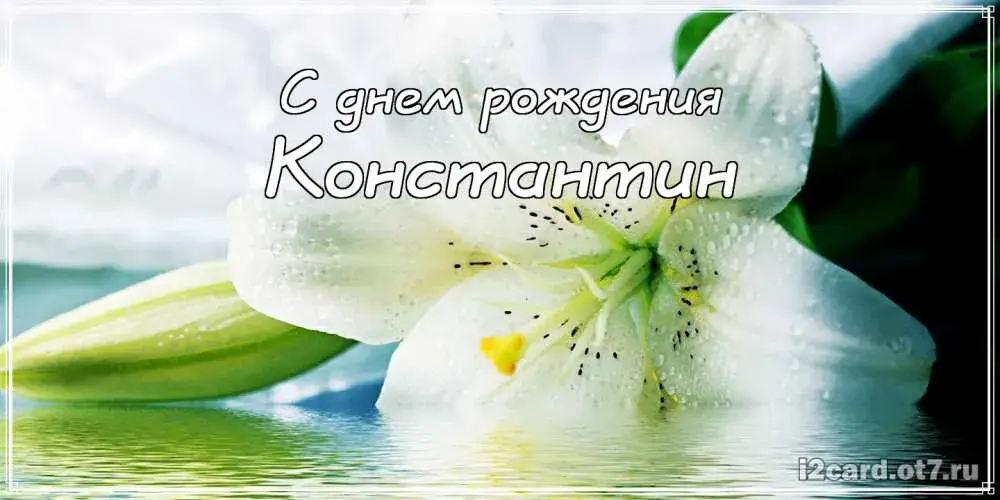 Открытка Открытки с именем Константин  - Открытка: Белые лилии, поздравление с днем рождения | Красивая открытка #216