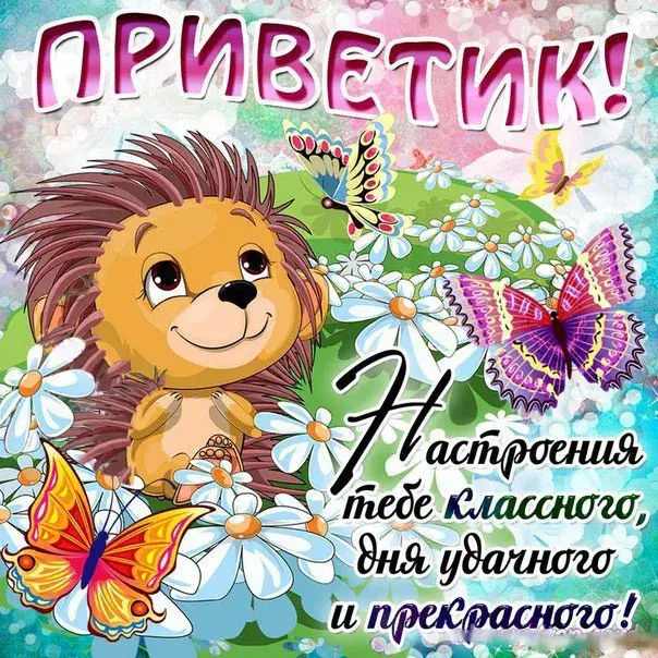 Открытка Привет - Открытка с ёжиком и цветами: поздравления и пожелания | Красивая открытка #21