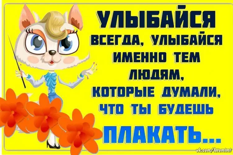 Открытка Улыбнись - Открытка с кошкой: прикольная, яркая, для настроения | Красивая открытка #127