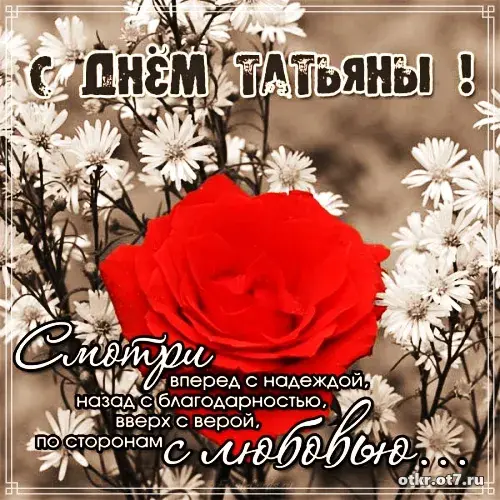 Открытка открытки на Татьянин день  - Открытка с розой и цветами: нежные поздравления | Красивая открытка #68