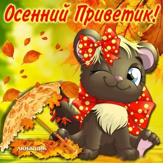 Открытка осенний привет - Осенняя открытка с милым котенком и листьями | Красивая открытка #41