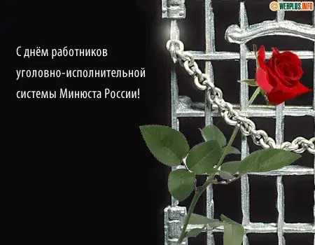 Открытка С днём работников уголовно-исполнительной системы - Красная роза на фоне решетки - открытка | Красивая открытка #22