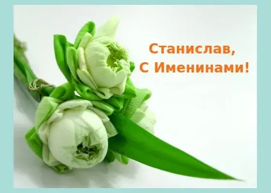 Открытка Открытки с именем Станислав  - Бутоны белых цветов с зелеными листьями | Красивая открытка #182