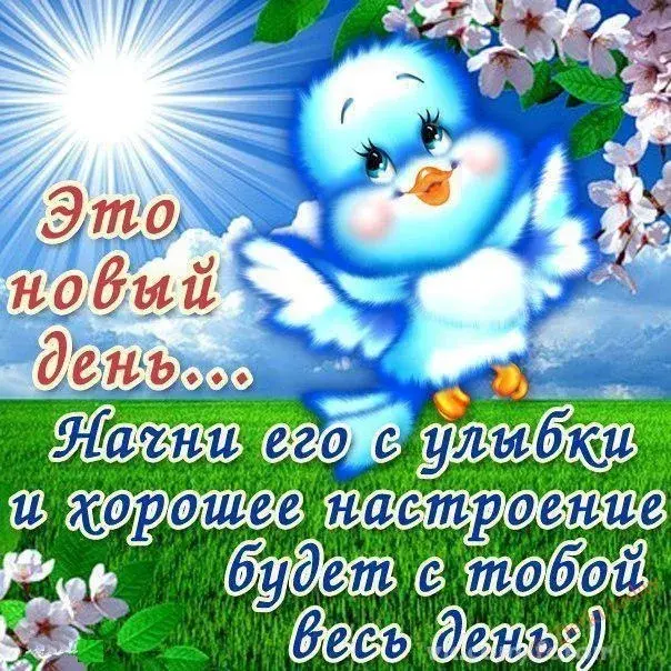 Открытка добрый день - Открытка с синим птичонком: весеннее настроение | Красивая открытка #37