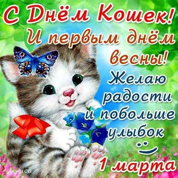 Открытка С Всемирным днём кошек - Открытка с котенком: С Днем 1 марта! | Красивая открытка #40
