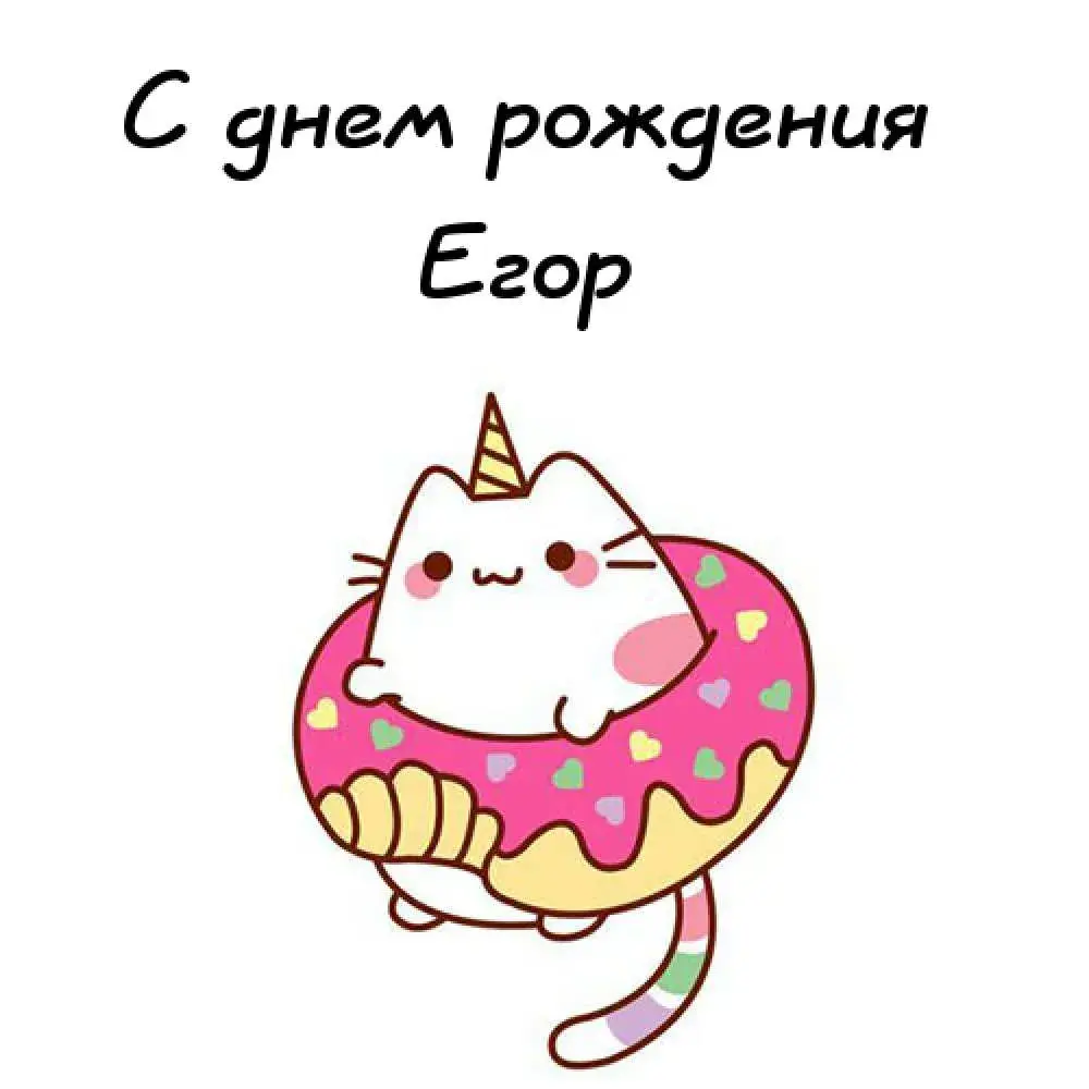 Открытка открытки с именем Егор - Открытка с котиком и пончиком | Красивая открытка #192