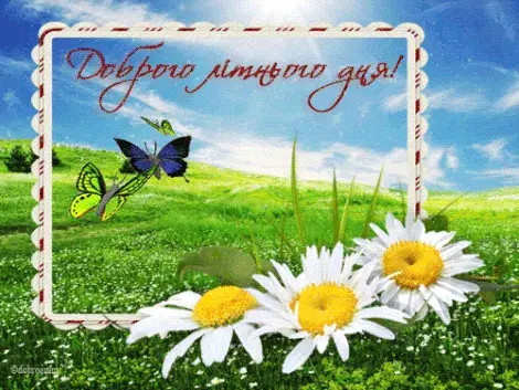 Открытка Хорошего лета - Открытка: Поле с цветами и бабочками | Красивая открытка #31