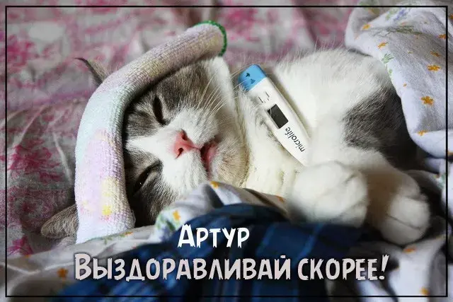 Открытка открытки с именем Артур - Котенок с градусником: Открытка с милым котиком | Красивая открытка #234