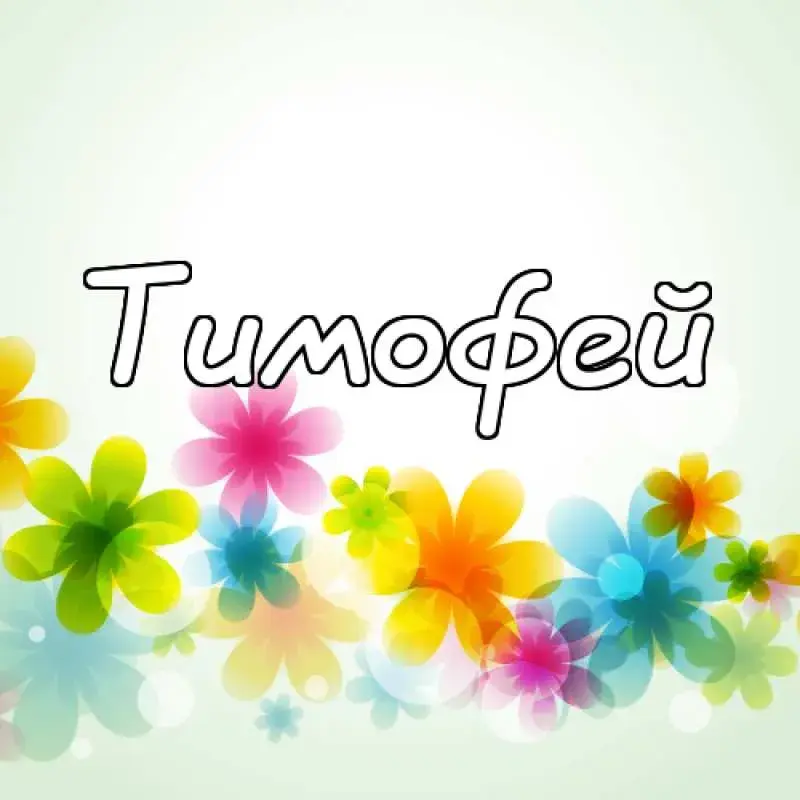Открытка Открытки с именем Тимофей - Открытка с цветами: яркие и нежные поздравления | Красивая открытка #49