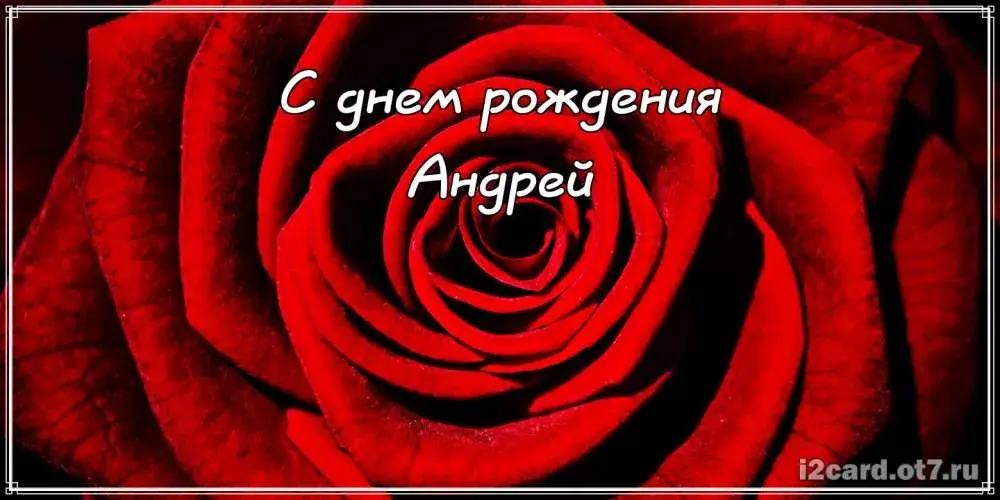 Открытка открытки с именем Андрей - Красная роза: открытка с днем рождения | Красивая открытка #140