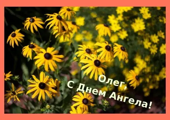 Открытка Открытки с именем Олег  - Полевые цветы: открытка с Днем Ангела | Красивая открытка #219
